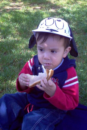 JulianPicnic