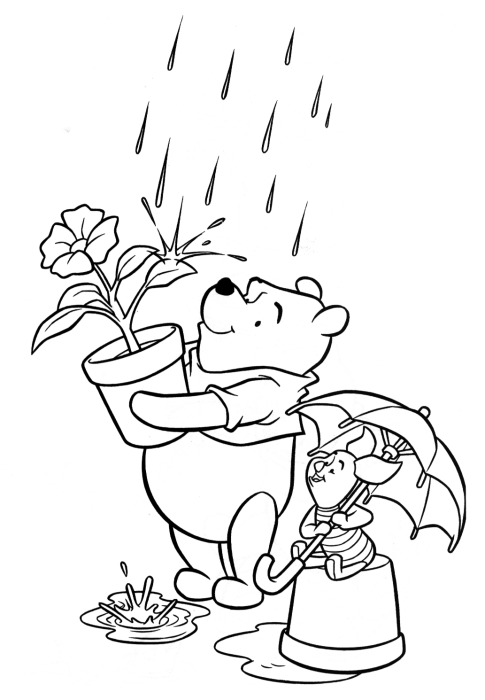 PlantsWinnie