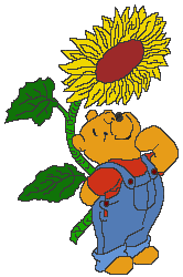 WinnieFlower