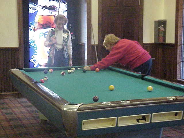 Pool Sharks