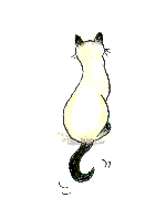 M�ia animation