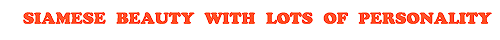 M�ia