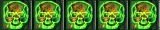 5 skulls
