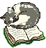 cat on book