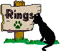 CAT's Favorite Links