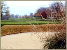 6th Green Sharon Woods