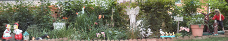 Back Garden July 2005