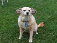 Daisy May 2004