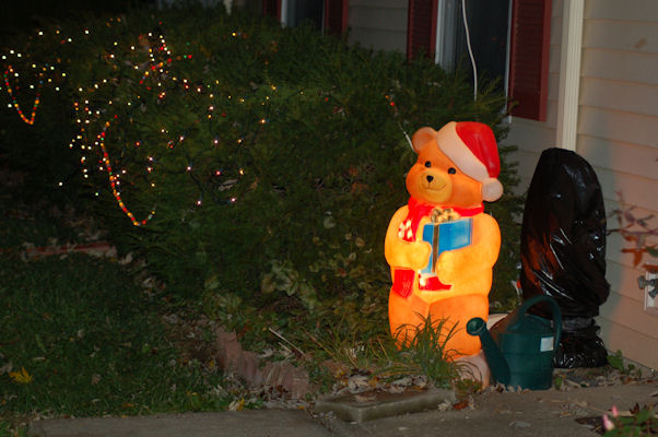 Teddy Bear