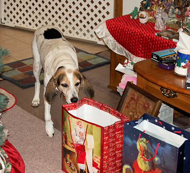 Judee Hunting for Presents