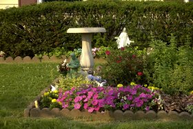 Front Yard Flowers 2003