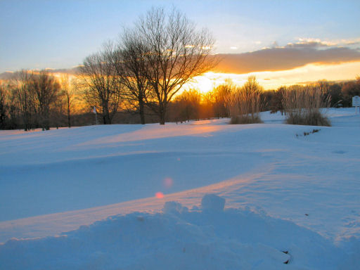 Sunset Sharon Woods