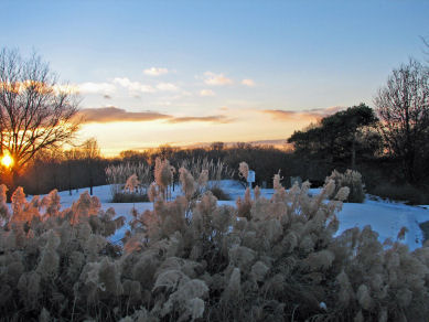 Sunset Sharon Woods