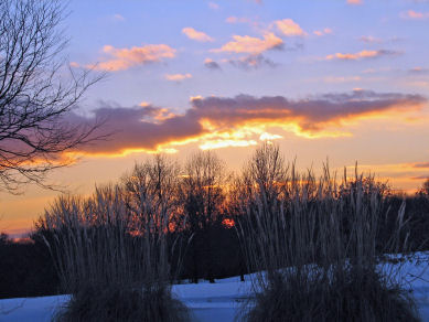 Sunset Sharon Woods