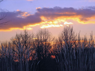 Sunset Sharon Woods