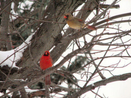 First Day of Spring Love in The Air