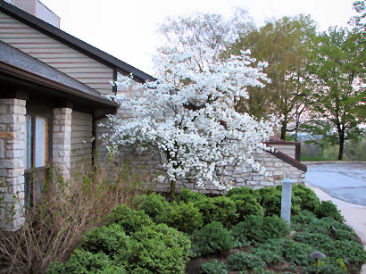 Dogwood Sharon Woods Club House
