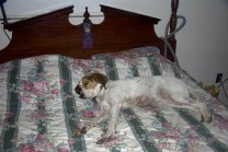 Judee Resting