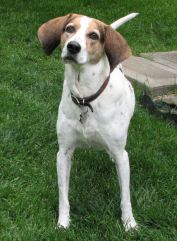 Judee May 18, 2006
