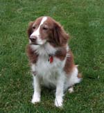 Niki May 2004