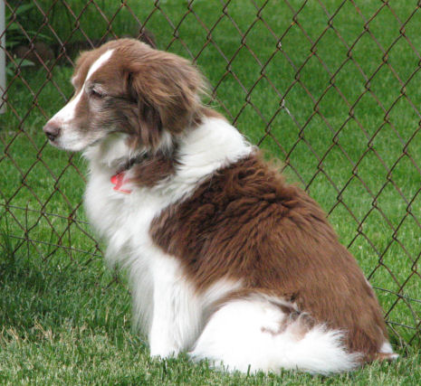 Niki May 18, 2006