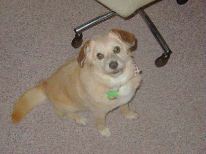 Daisy