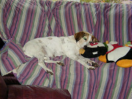 Judee Tired from Christmas