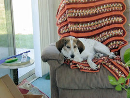 Judee watching TV