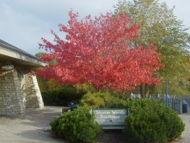 Sharon Woods Harbor