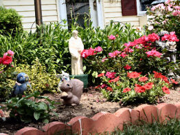 Garden Up Close