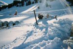 rolling down snow bank