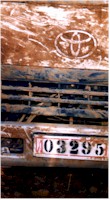 i11039926.jpg (12290 bytes)