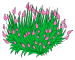 R�sslyng