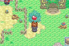 If you've planted a tree, after a while you can get apples off it.