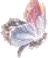 butterfly icon