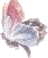 butterfly icon