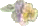 PANSY