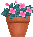 Click Here on the Flower Pot