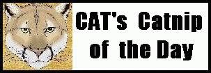 [Catnip Award]