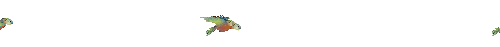 [bird flying]