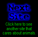 [Next Stop Animal Cruelty Site]
