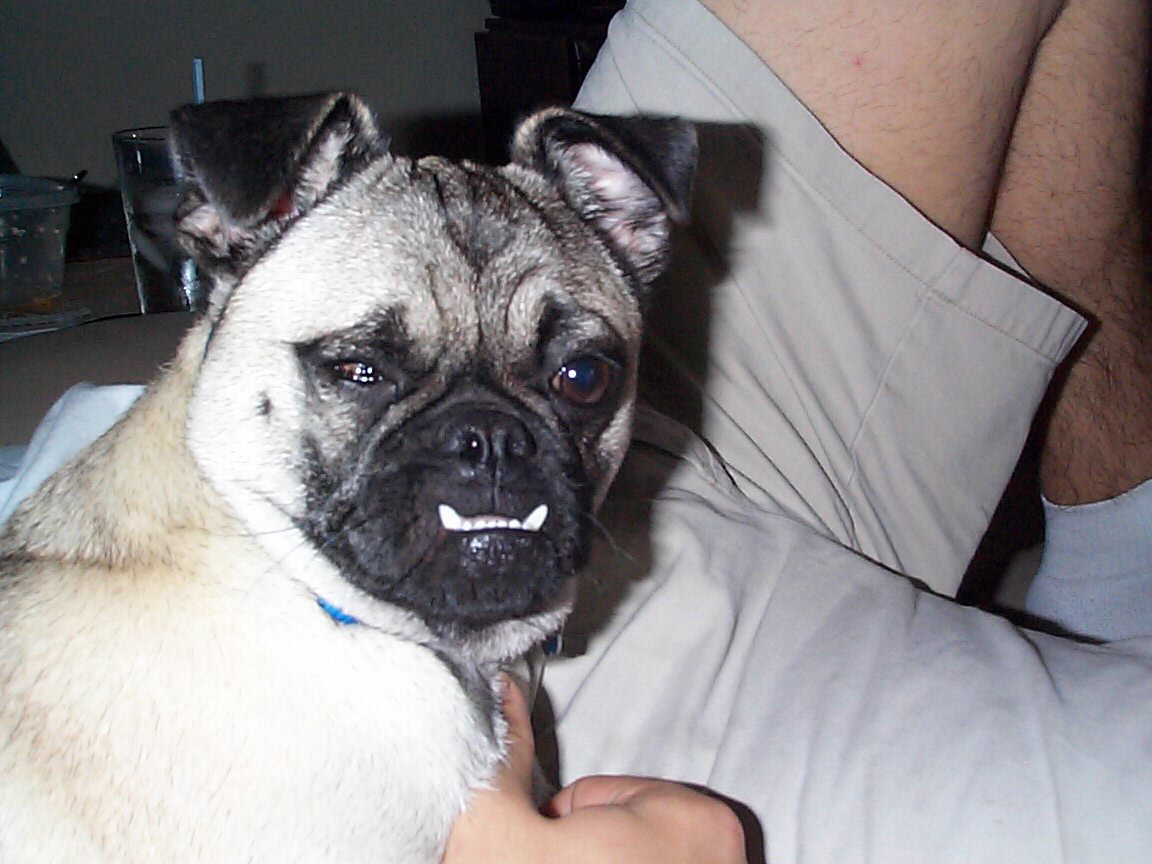 Don't I look cute?