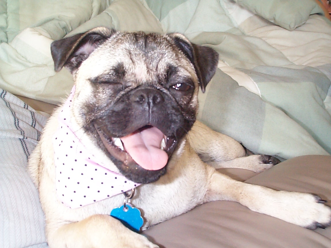 I got my nails clipped today!