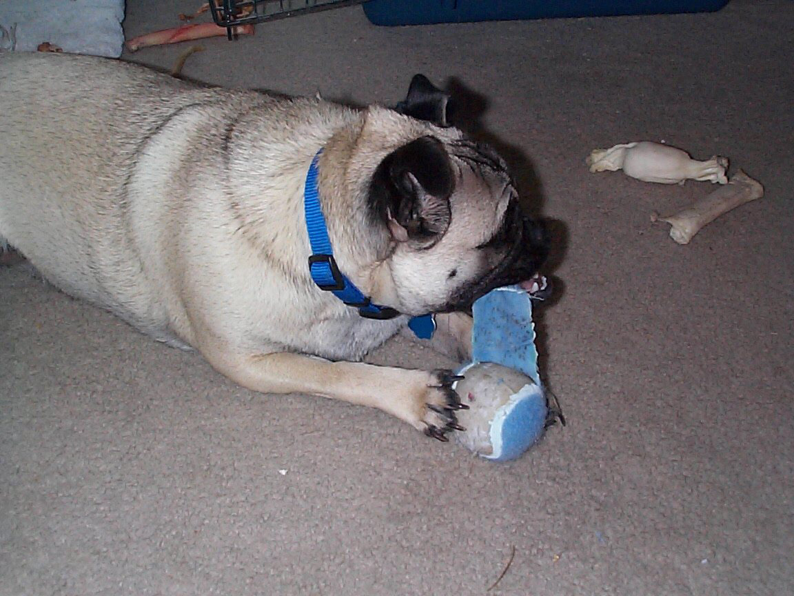 I killed the ball!