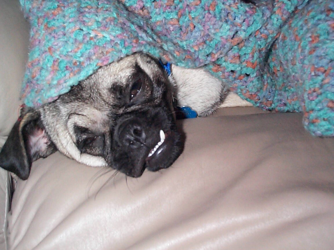 I'm Hiding!