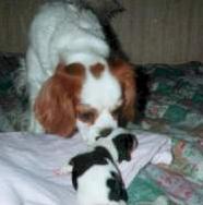 'Daisy', with her granchild, at four years of age
