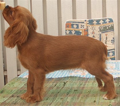 at three months of age