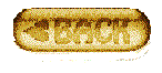 home page button