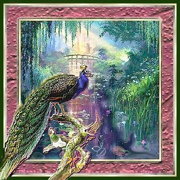 Peacock