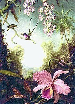 Orchid by Heade